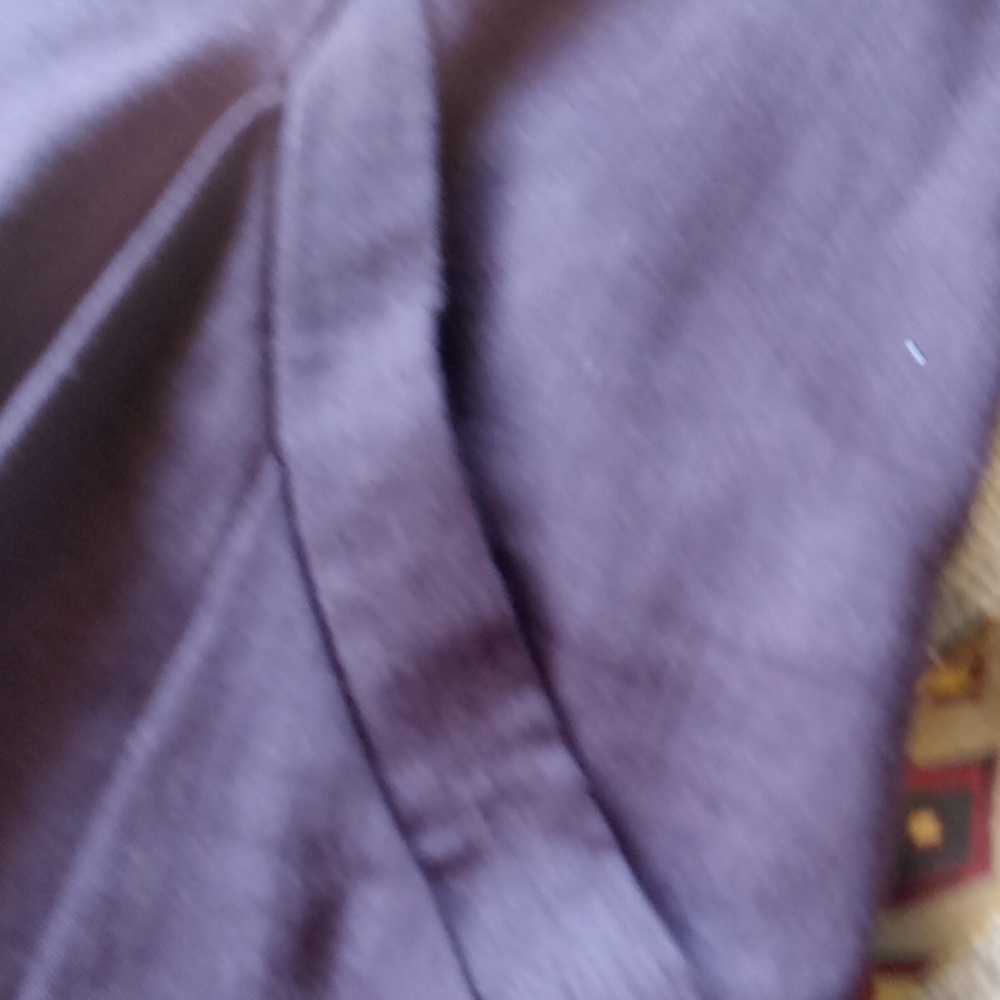 PLUM  THEYSKENS DRESS - Picture 8 of 11